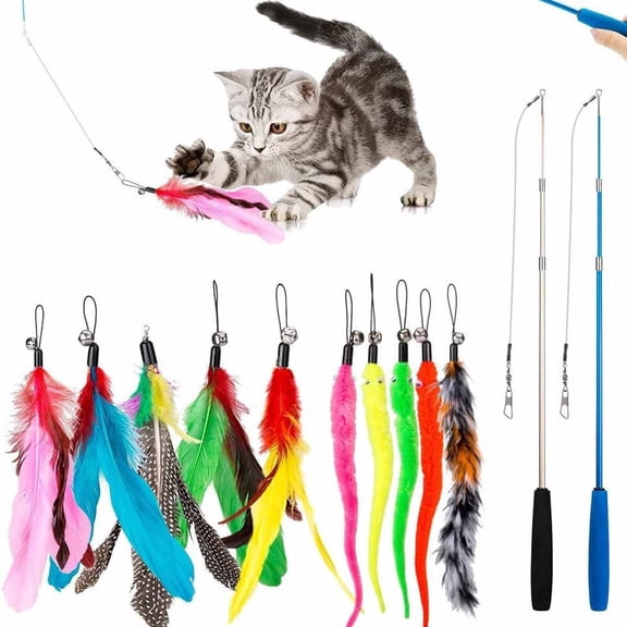 Cat Toys for Indoor Cats - Interactive Cat Teaser Wand Toy with Replaceable Feather Heads Extendable Rod Self-entertainment Chewing Toy Set for Indoor Cat Worm Toy