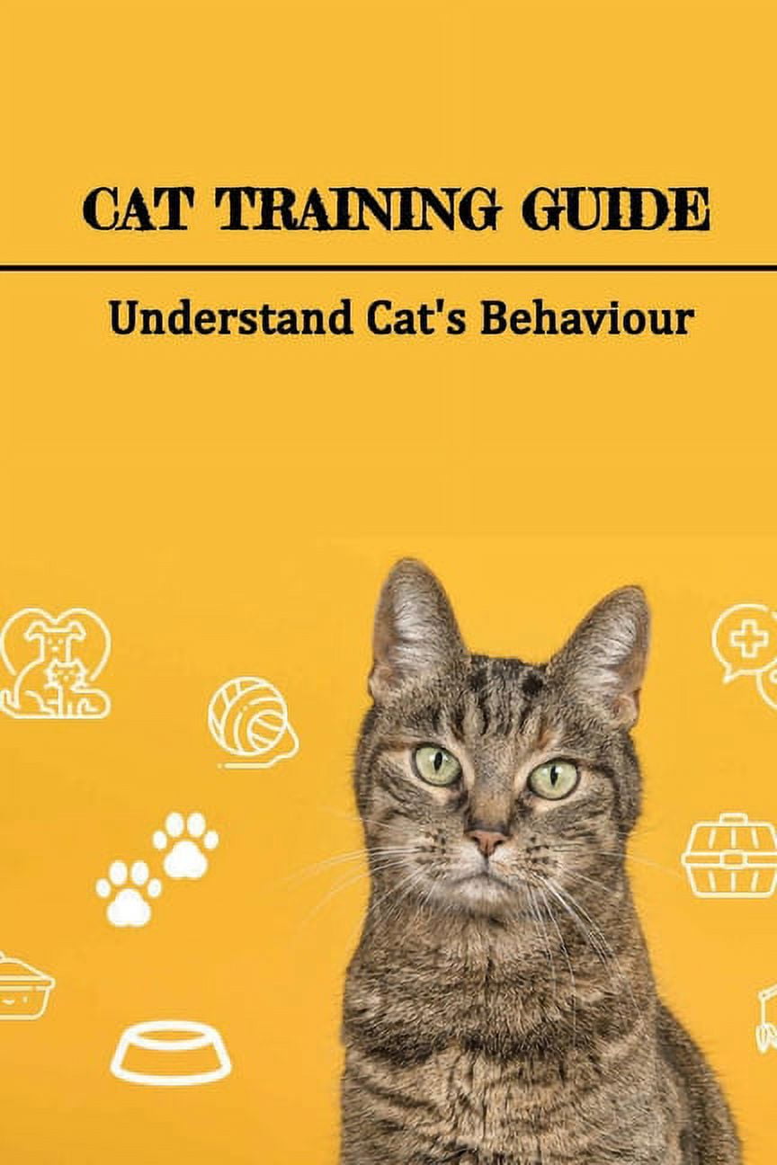 Cat Behavior Workshops: Understanding and Enhancing Feline Habits