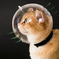 thumbnail image 1 of Cat Transparent Muzzle with Breathable Hood, Adjustable Kitten Astronaut Helmet Prevent from pet Biting Chewing Grooming , Ball Mask for Aggressive Cat(L), 1 of 3