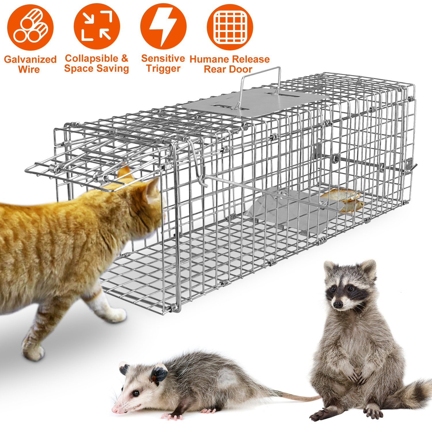 Cat Trap Cage Catch Release Live Animal Rodent Cage Collapsible ...