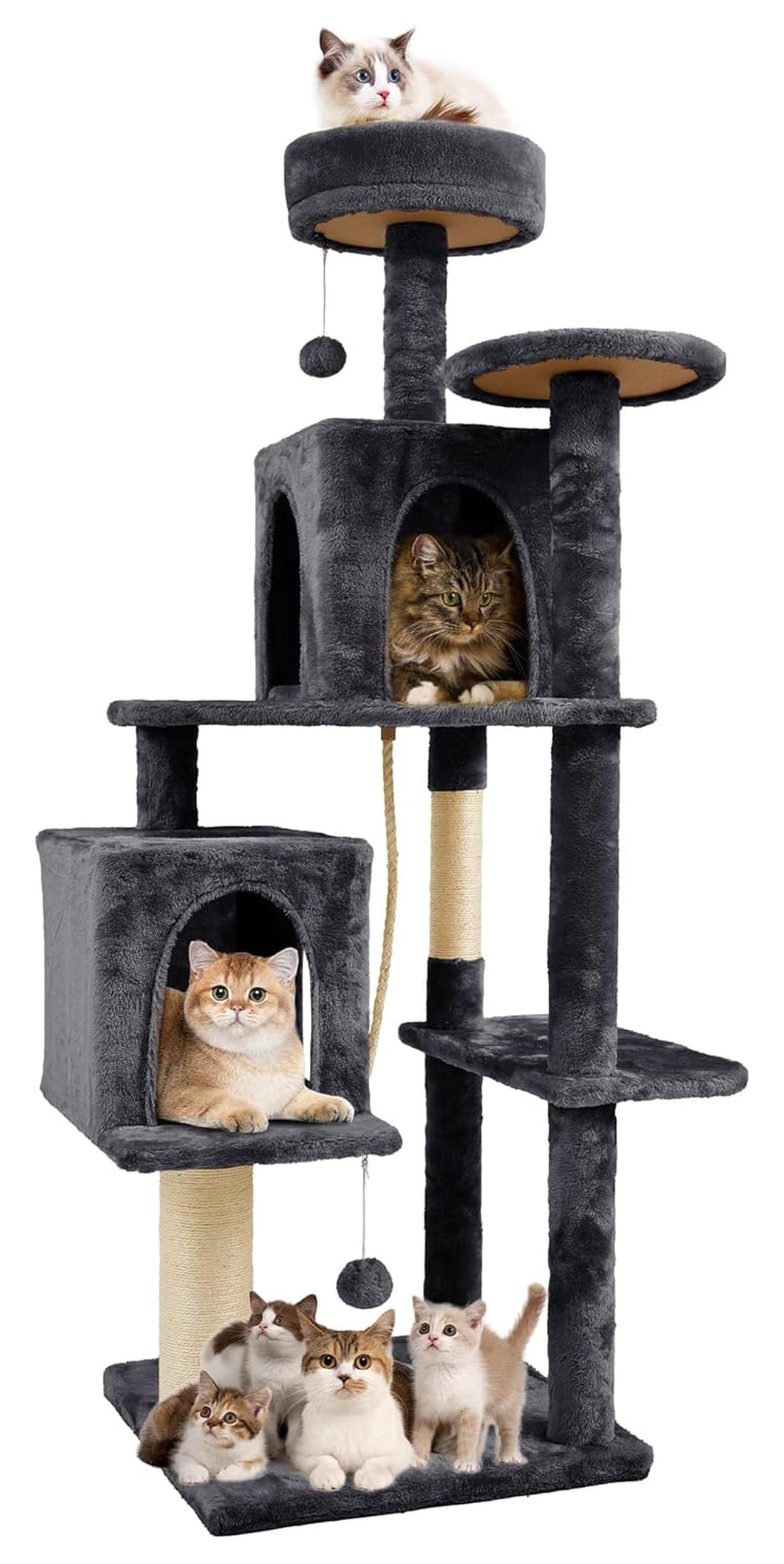 Beautiful view of Cat Toys That Stimulate Scratching