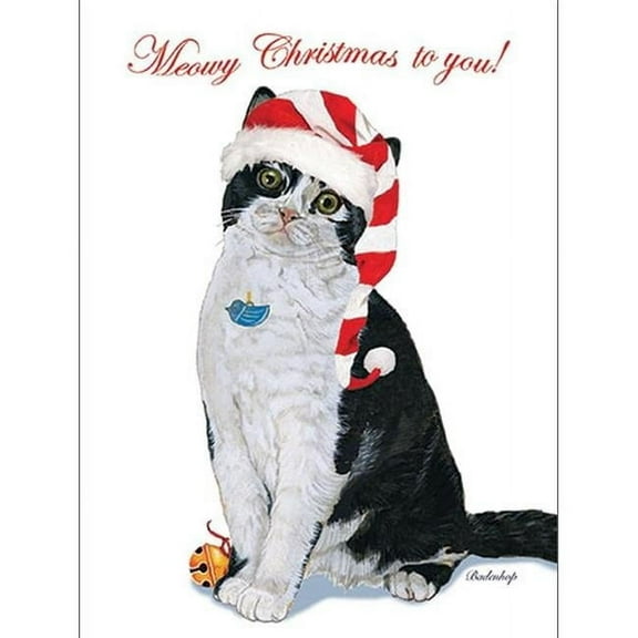 Cat Tuxedo Boxed Christmas Cards, Black & White - Set of 10