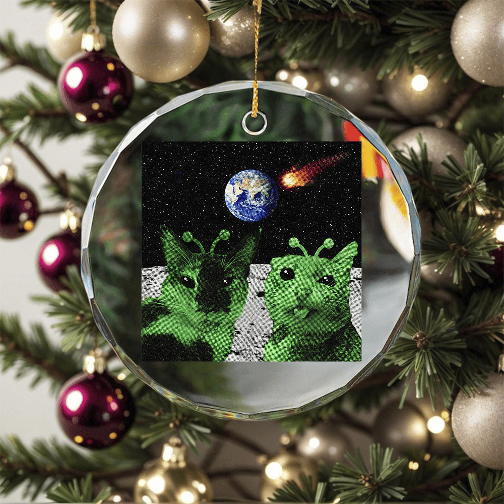 Cat UFO Y2K Cats Alien Selfie Funny Cat Gifts for Ornament, Home Decor ...