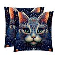 Cat Velvet Throw Pillow Covers Set of 2 Sizes 16x16, 18x18, 20x20