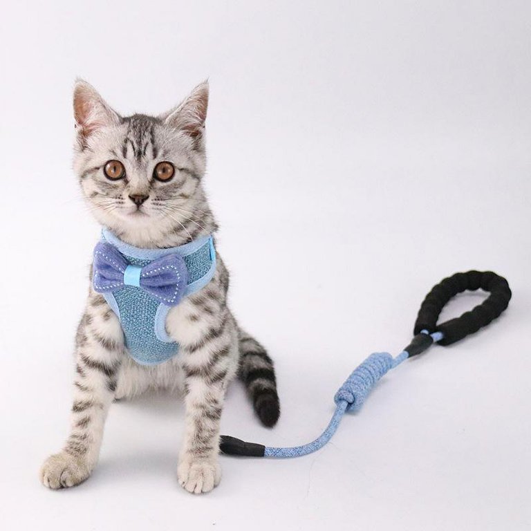 Cat Vest and Lead Leash Set, Vest Harness Breathable Mesh for Pet Outdoor  Walking Running Safety for 2.5kg - 10kg Small Medium Cats - Walmart.com
