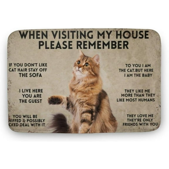 Cat When Visiting My House Please Remember Cat Door Mat Funny Welcome Mats Outdoor Rugs for Entryway Door Mats Indoor Cat Door Mat Indoor Door Mat Front Door Rug Gift for Women Men 16x24 Inch