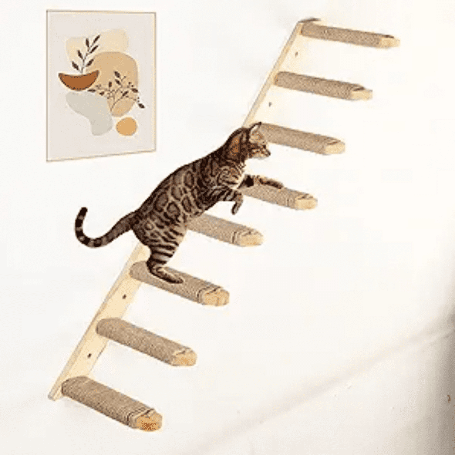 Picture of Cat Wall Climbing Shelf, 2 pcs Cat Wall Climber, 4 Step Climbing Stairs ...