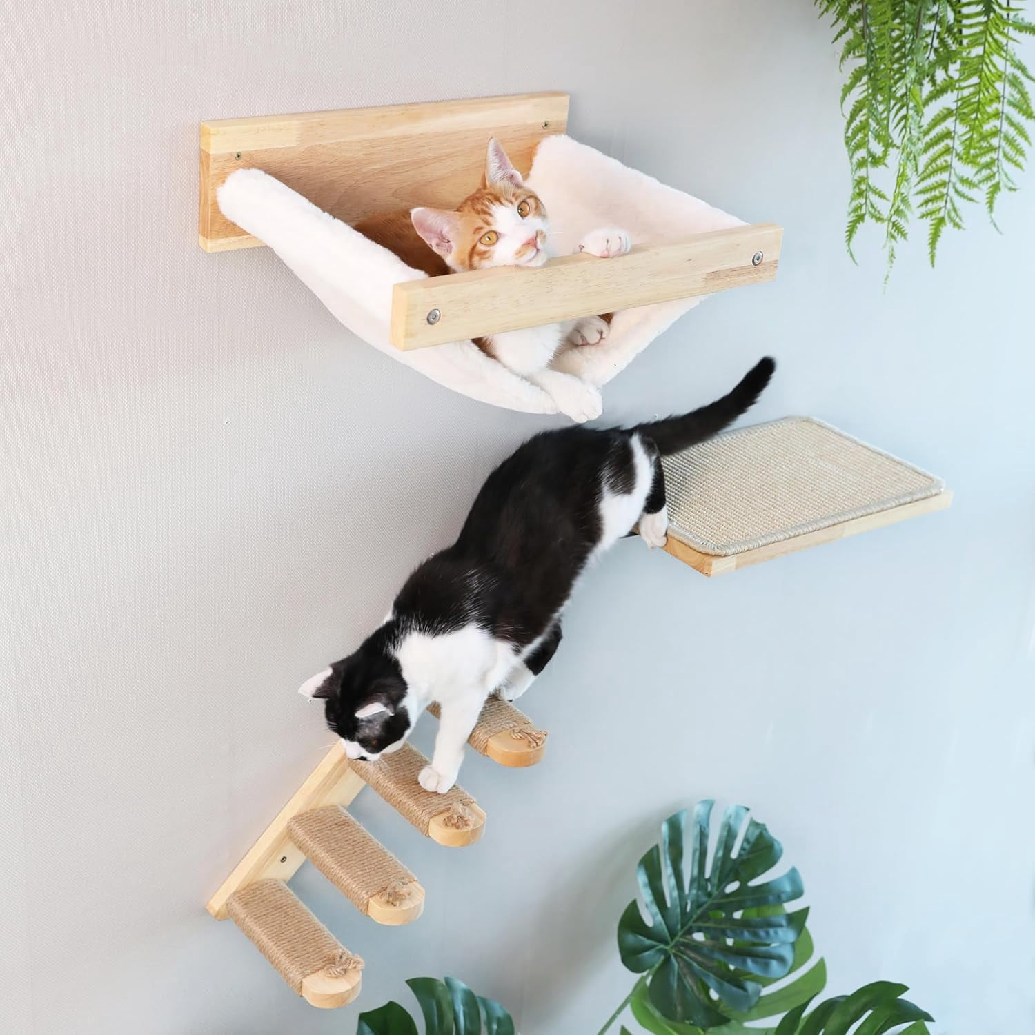 Beautiful view of Double Cat Wall Shelves With Carpet