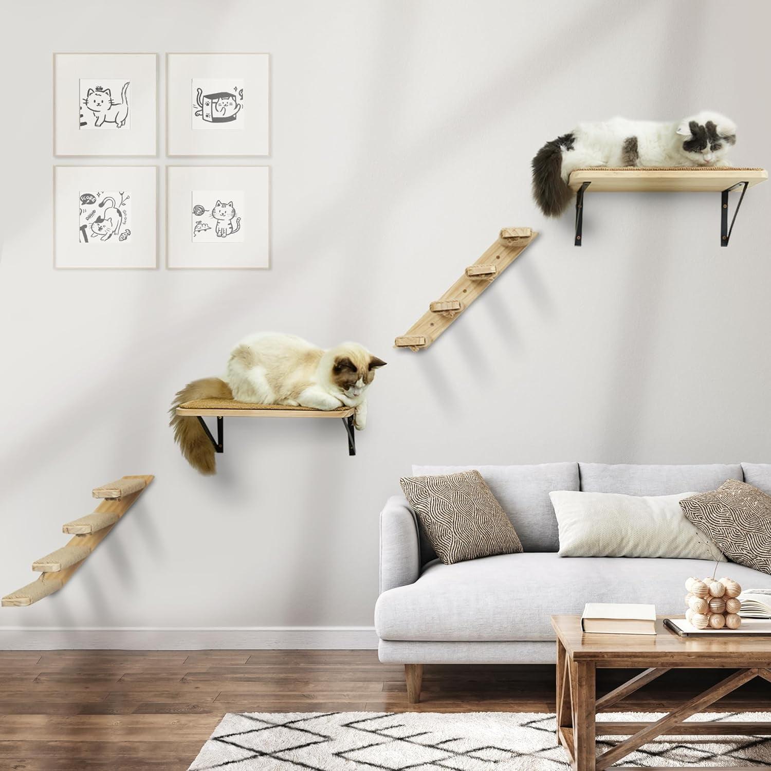 Gallery image with a fresh perspective