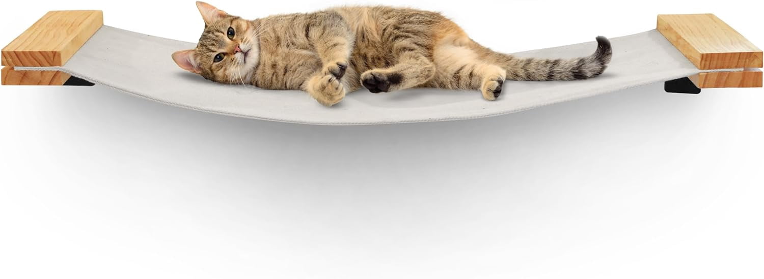 Cat Wall Shelves With Hammock And Modern photo
