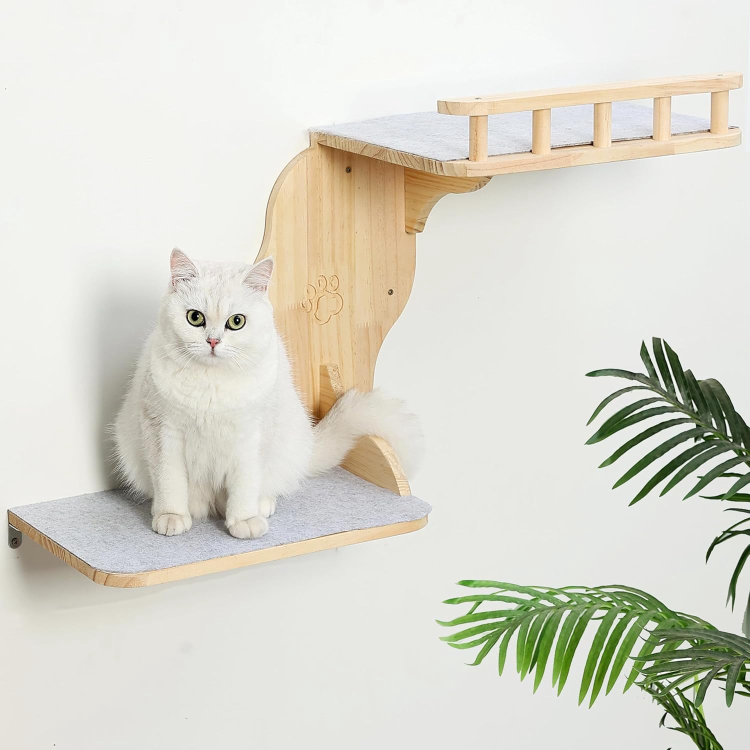 Beautiful view of Shelves For Cats To Climb And View