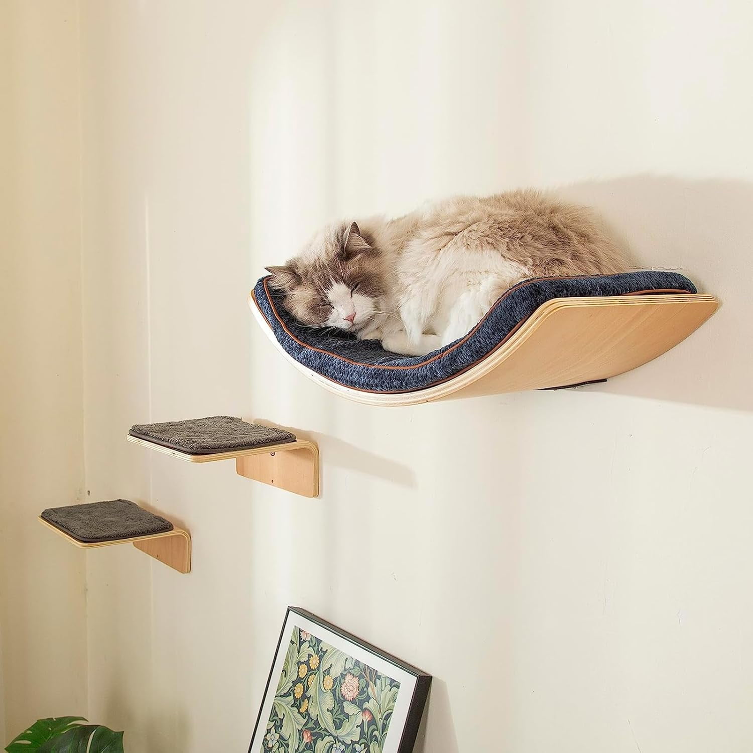 Cat Wall Shelf with Two Steps - Curved Cat Shelves and Perches for Wall ... - Friendly Cat Wall Shelves With Enclosed Perches