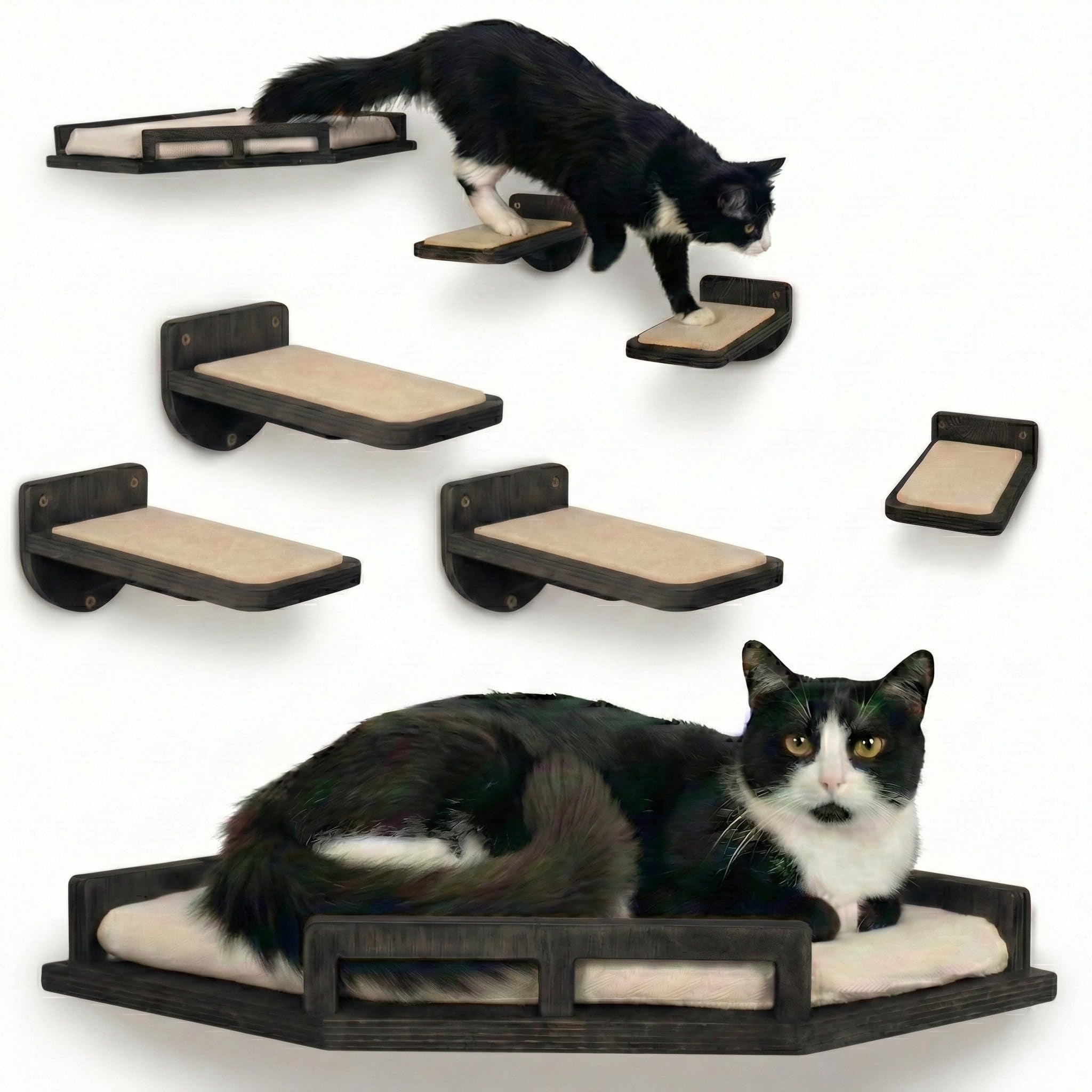 Cat Wall Shelves - Safe And Sturdy Furniture Stylish Wood Corner Shelf With 3 Steps For Cats Up To 15lbs Cushioned Perch Stairs Climbing Playing Black