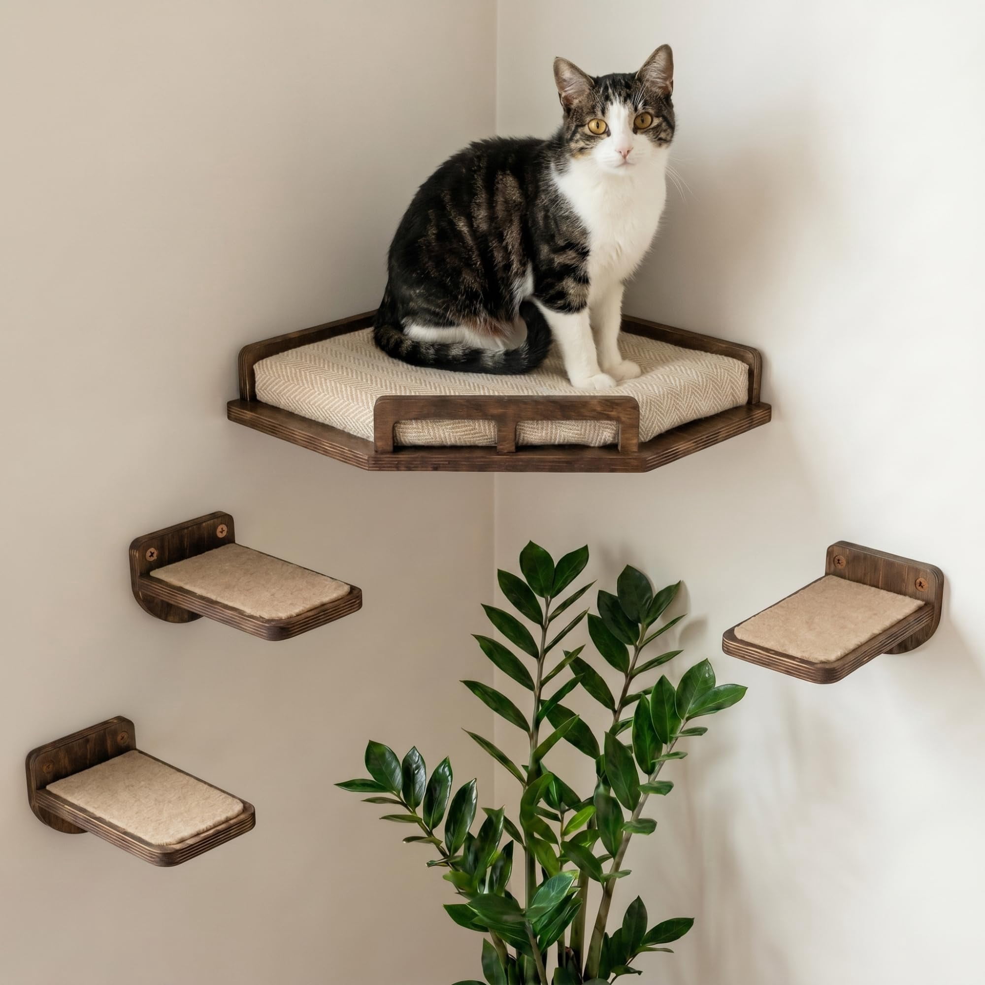 Cat Wall Shelves - Safe And Sturdy Furniture Stylish Wood Corner Shelf With 3 Steps For Cats Up To 15lbs Cushioned Perch Stairs Climbing Playing Dark Brown