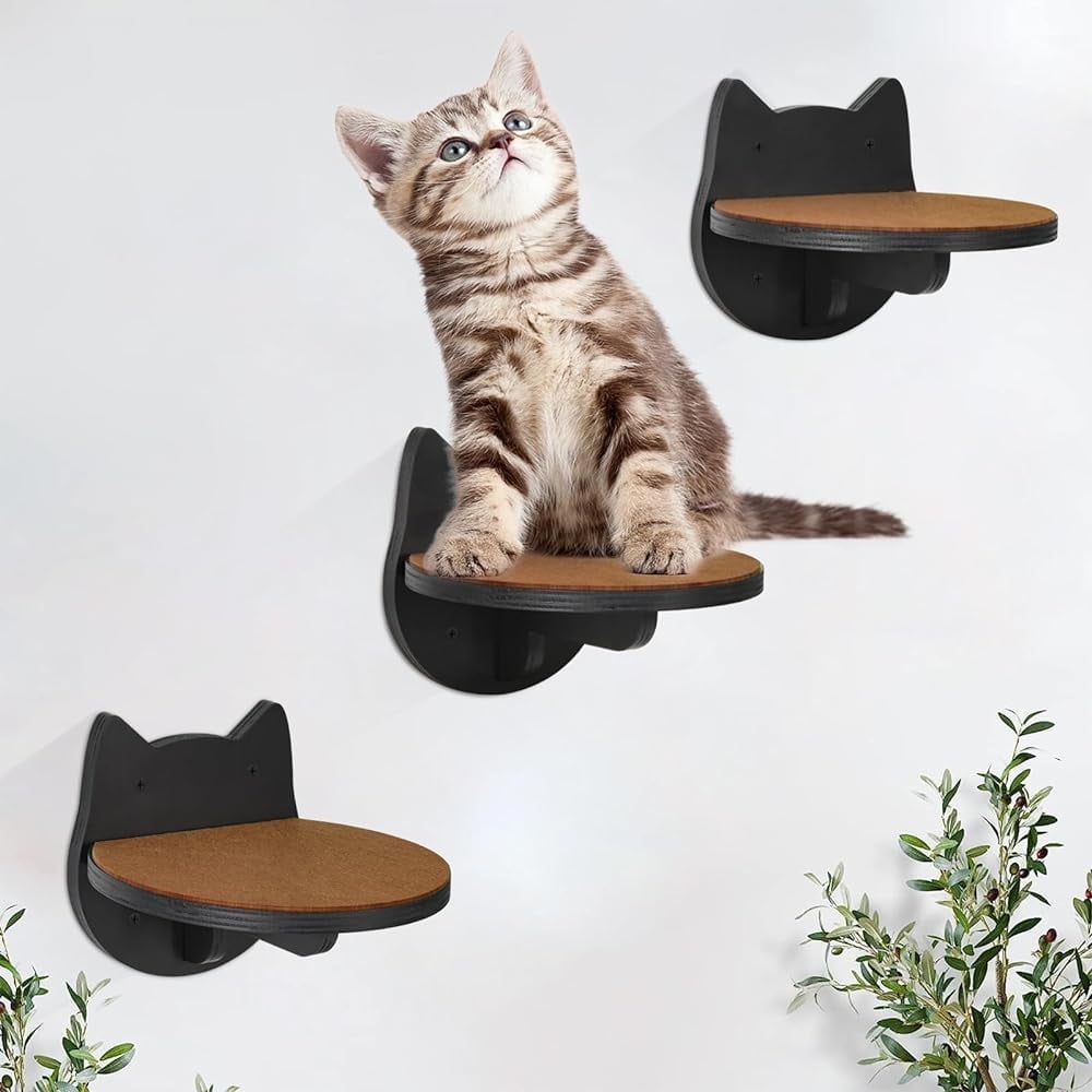 Cat Wall Shelves Set of 3&6, Cat Climbing Shelves Stairs with ... - Shelves For Cats To Climb And View