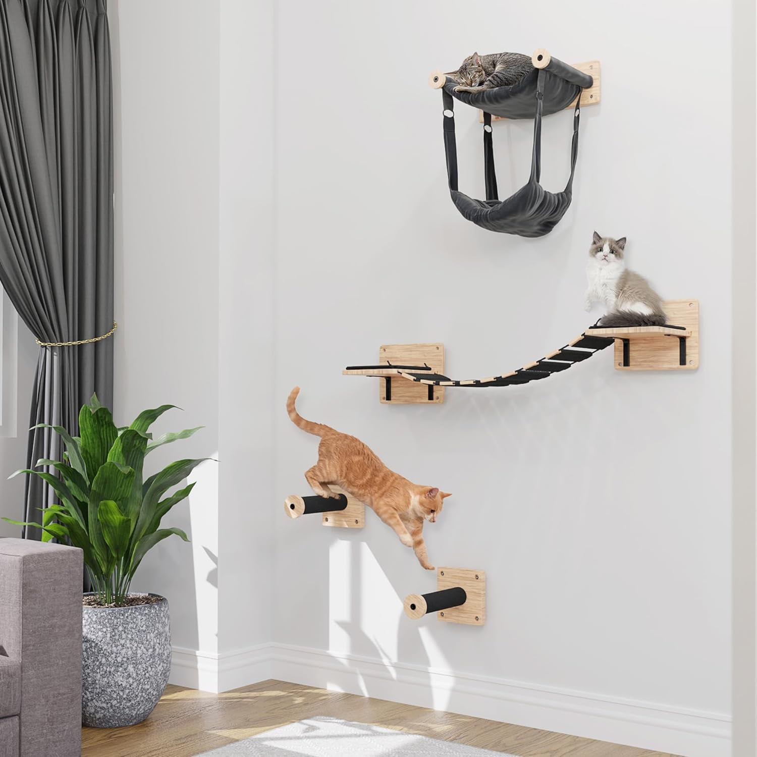 Modern cat shops wall shelves