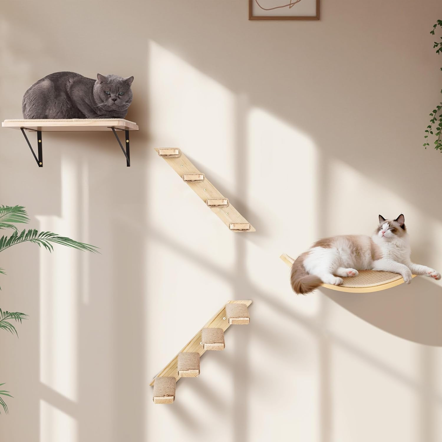 Picture of Cat Wall Shelves Set with Sisal Cats Stairs, 4 Piece Wooden Climbing ...