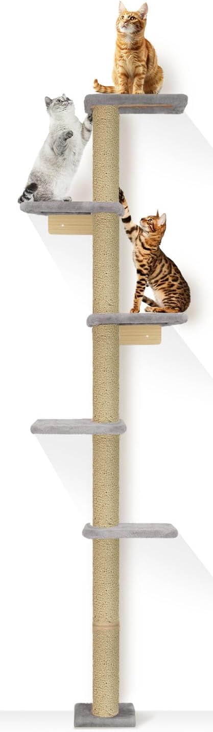 Curated visual reference: Gallery Detail: Cat Wall Shelves Wall Mounted Cat Tree Tier Floor To