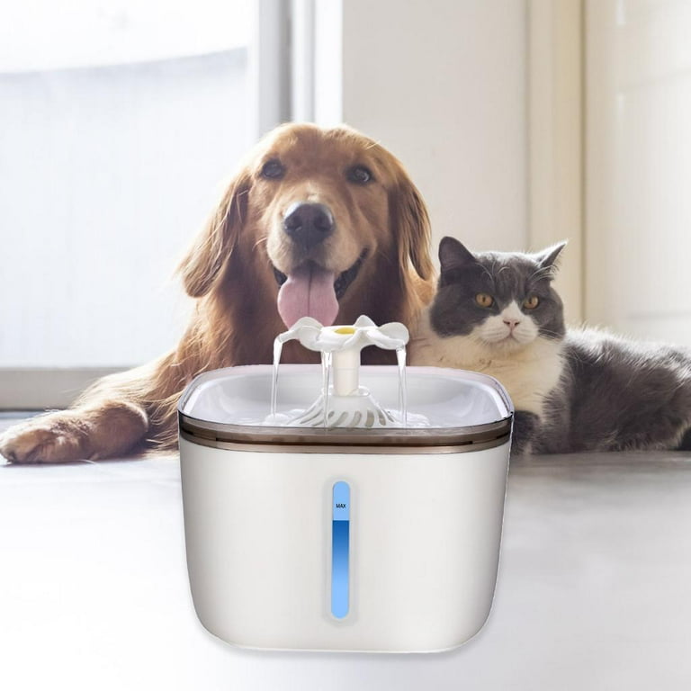 Outdoor cat water fountain online