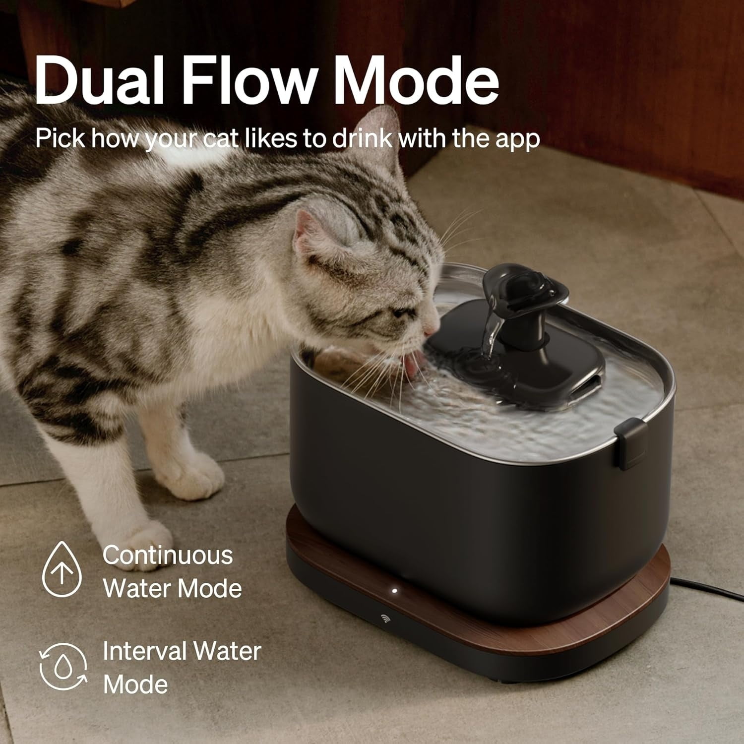Cat Water Fountain, App Monitoring Pet Fountains for Cats Indoor with Stainless Steel Tray, 2.5L/84oz   Automatic Water Dispenser for Drinking, 2.4G Wi-Fi Smart Bowl Inside