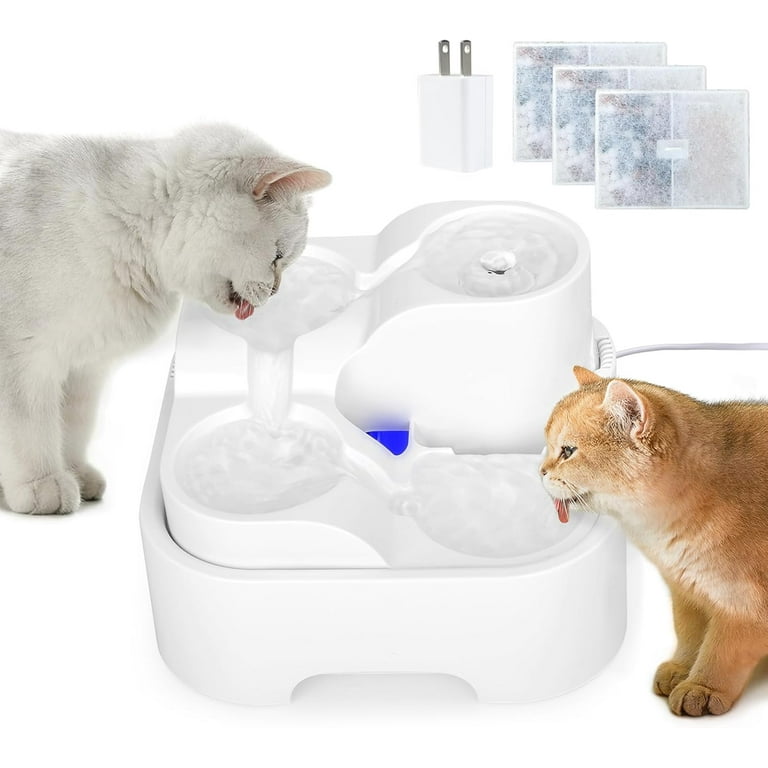 Filtered cat water bowl 2025