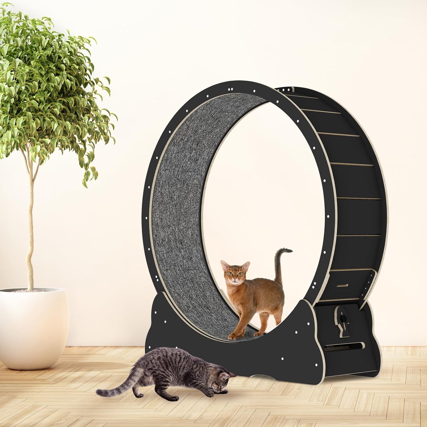 Pefilos 36" Cat Exercise Wheel for Indoor Cats, Cat Running Wheel with Carpeted Runway, Cat