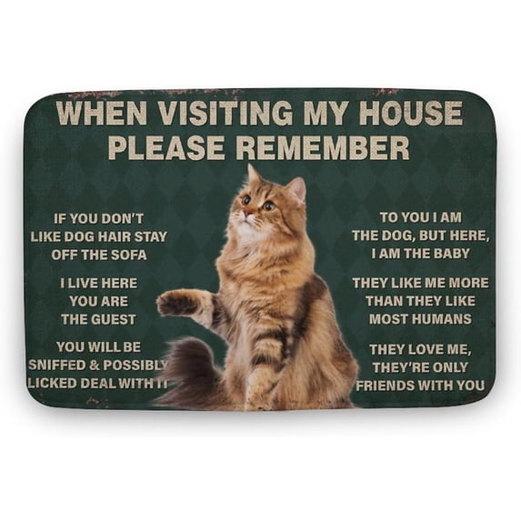 Cat When Visiting My House Please Remember Cat Door Mat Indoor Non-Slip Entry Door Mat Front Door Mat Doormat Inside Mat Rug Entryway Rug Gift for Women Men 24 * 16 Inch