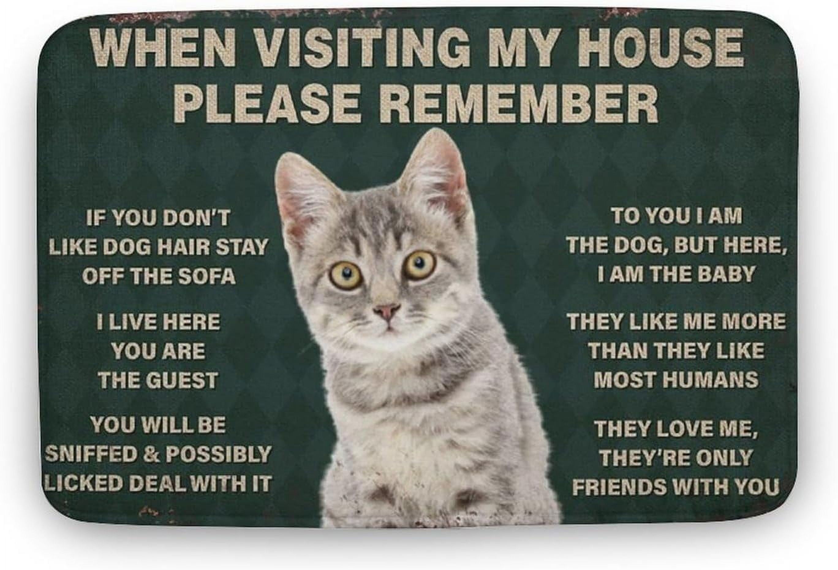 Cat When Visiting My House Please Remember Cat Door Mat Cat Mat