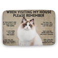 thumbnail image 1 of Cat When Visiting My House Please Remember Cat Doormat Rug Funny Outdoor Doormat Mat Non Slip Rubber Backing Entrance Outside Indoor Front Kitchen Decor Gift for Women Men 16x24 Inch, 1 of 4