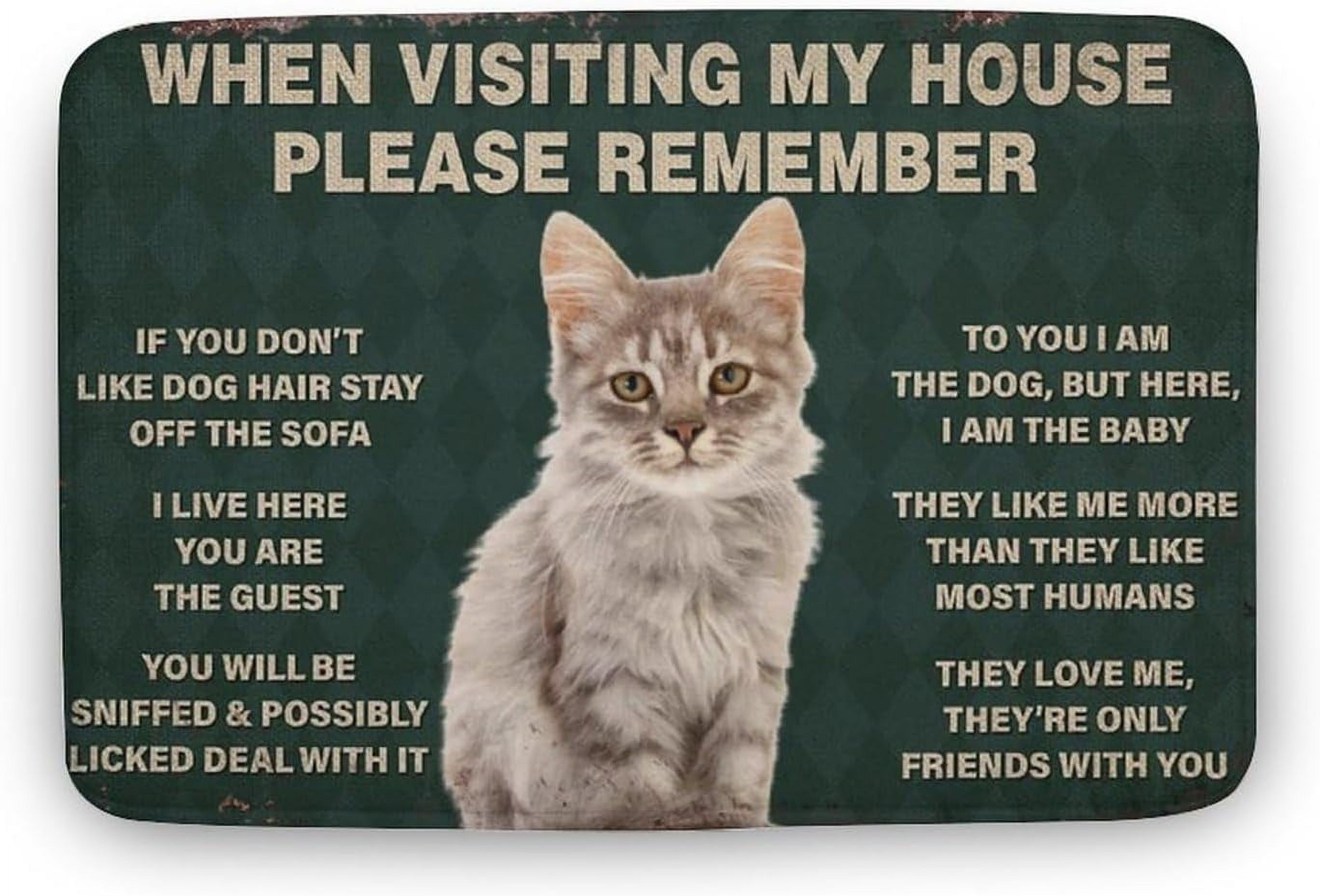 Cat When Visiting My House Please Remember Cat Doormat Cat Doormat