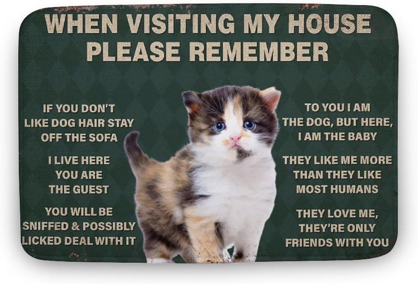Cat When Visiting My House Please Remember Cat Funny Doormat Welcome Door Mats for Home Outside Entry Cat Door Mat Floor Door Mats Mat Non Slip Gift for Women Men 18X30 inch