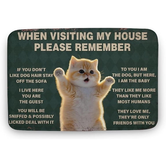 Cat When Visiting My House Please Remember Funny Cat Doormat Welcome Front Porch Decor Doormat for The Entrance Way Rug Non Slip Outdoor Cute Doormat Gift for Women Men 16x24 Inch
