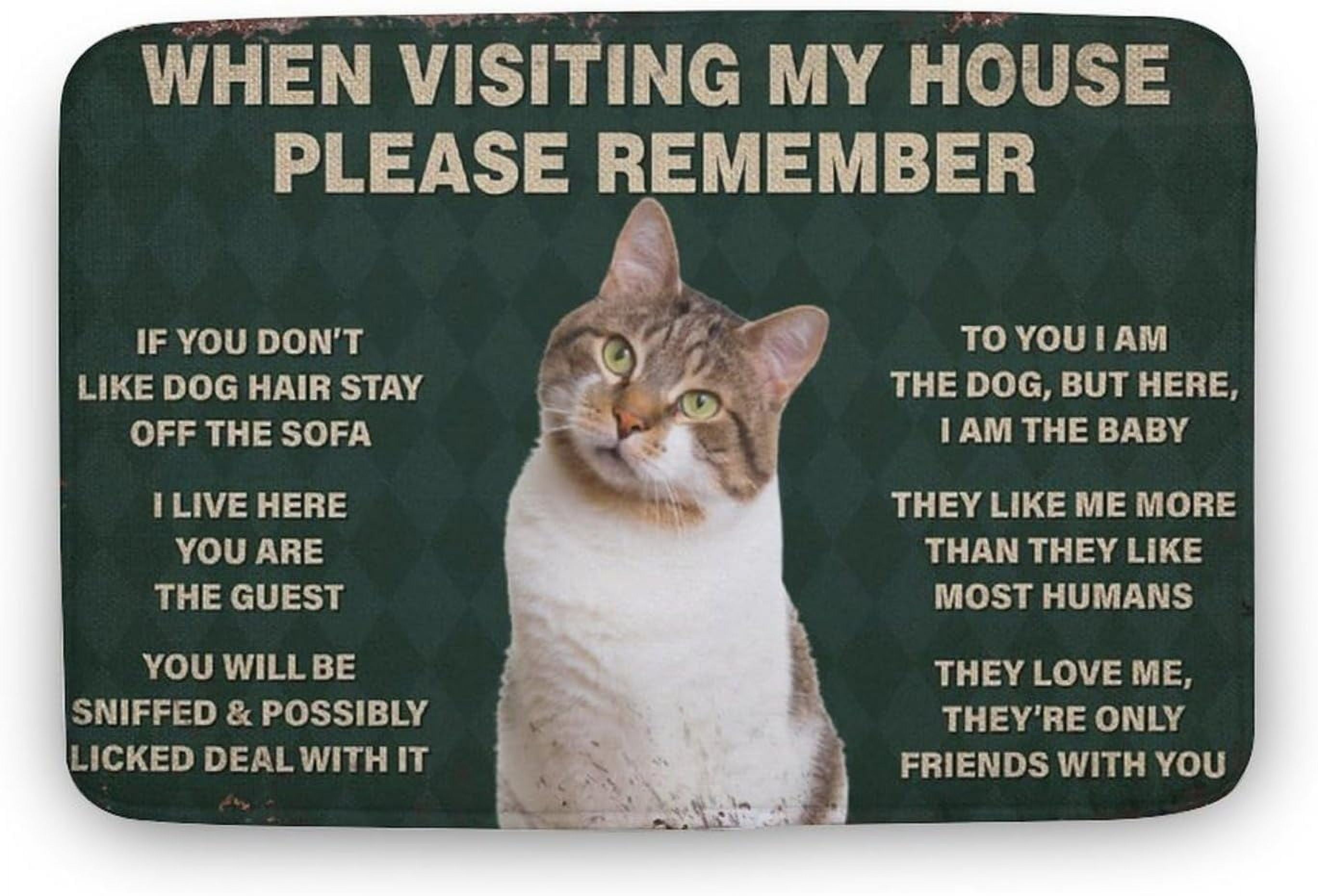 Cat When Visiting My House Please Remember Cat Indoor Door Mat Entryway ...