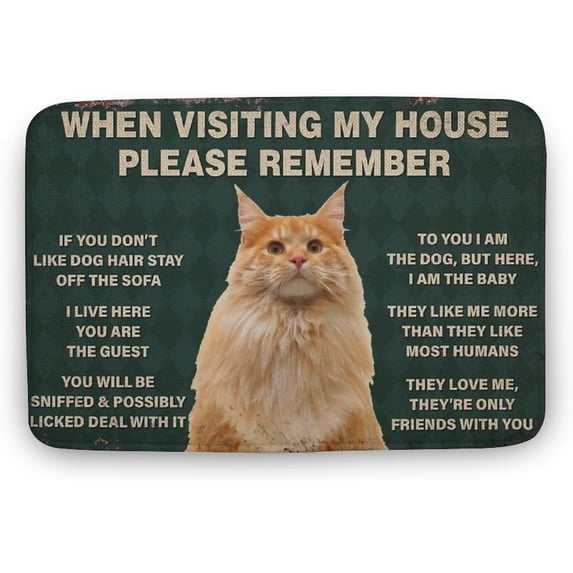Cat When Visiting My House Please Remember Indoor Doormat Entryway Door Mat Non Slip Mats Non Slip Inside Floor Mats Soft Washable Large Mats Door Carpet for Entryway Gift for Women Men 18x30 Inch