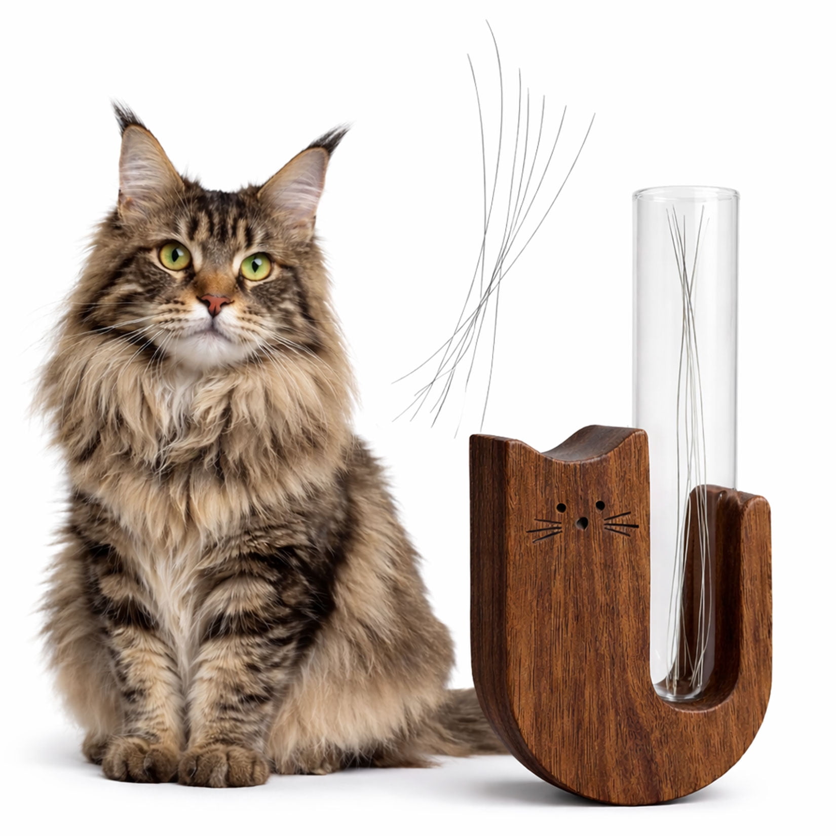 Cat Whisker Keepsake