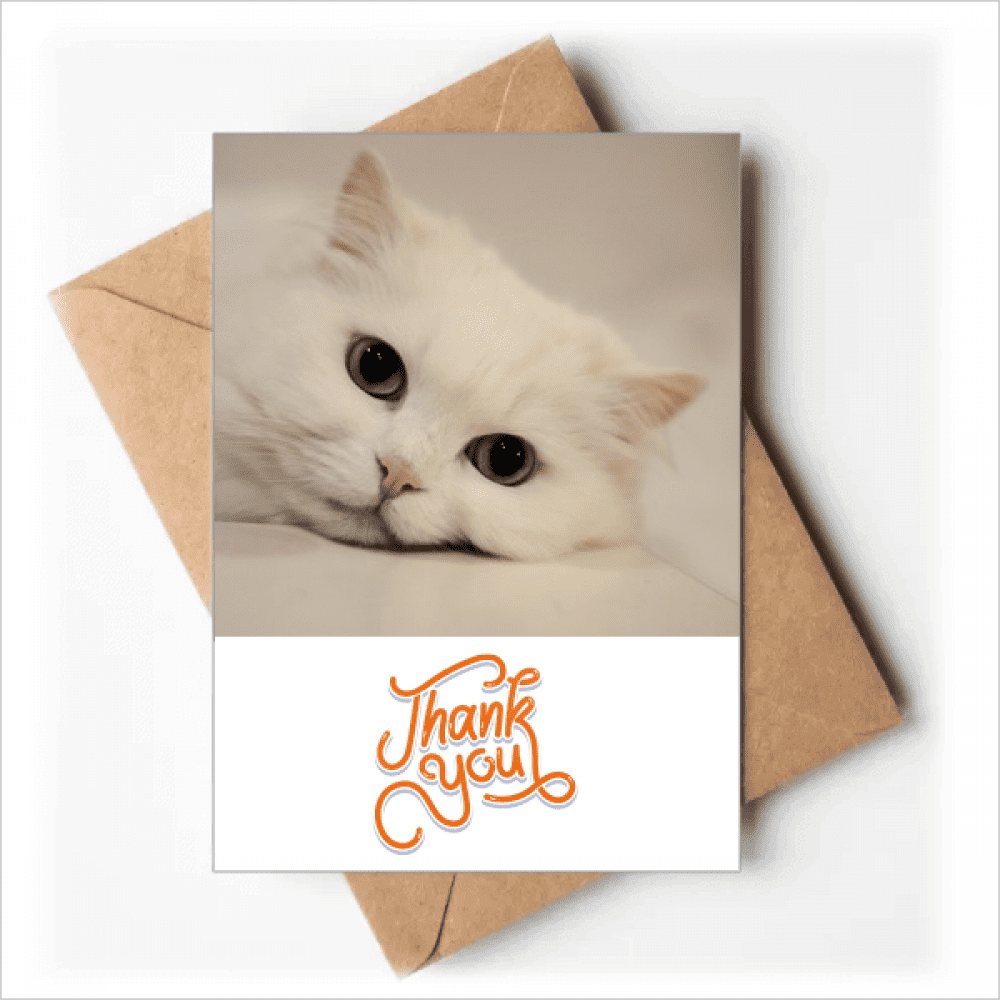 Cat White Kitty Pet Animal Relax Thank You Cards Envelopes Blank Note