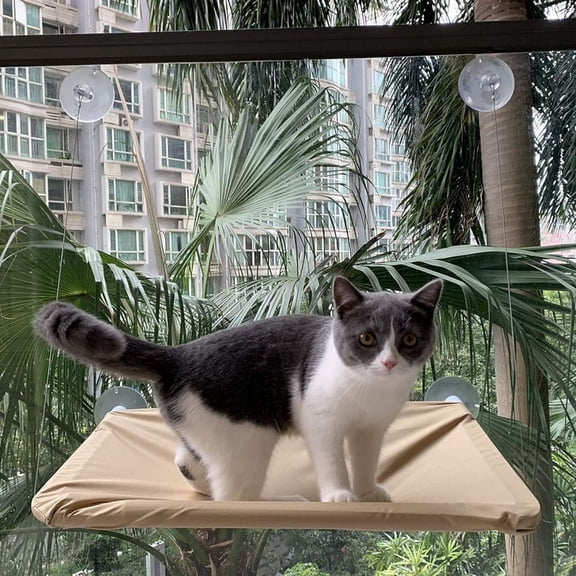 Cat Window Perch,Cat Hammock Window Seat Bed Saving Space 360 Sunbath