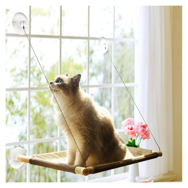 Outdoor cat window perch 2025