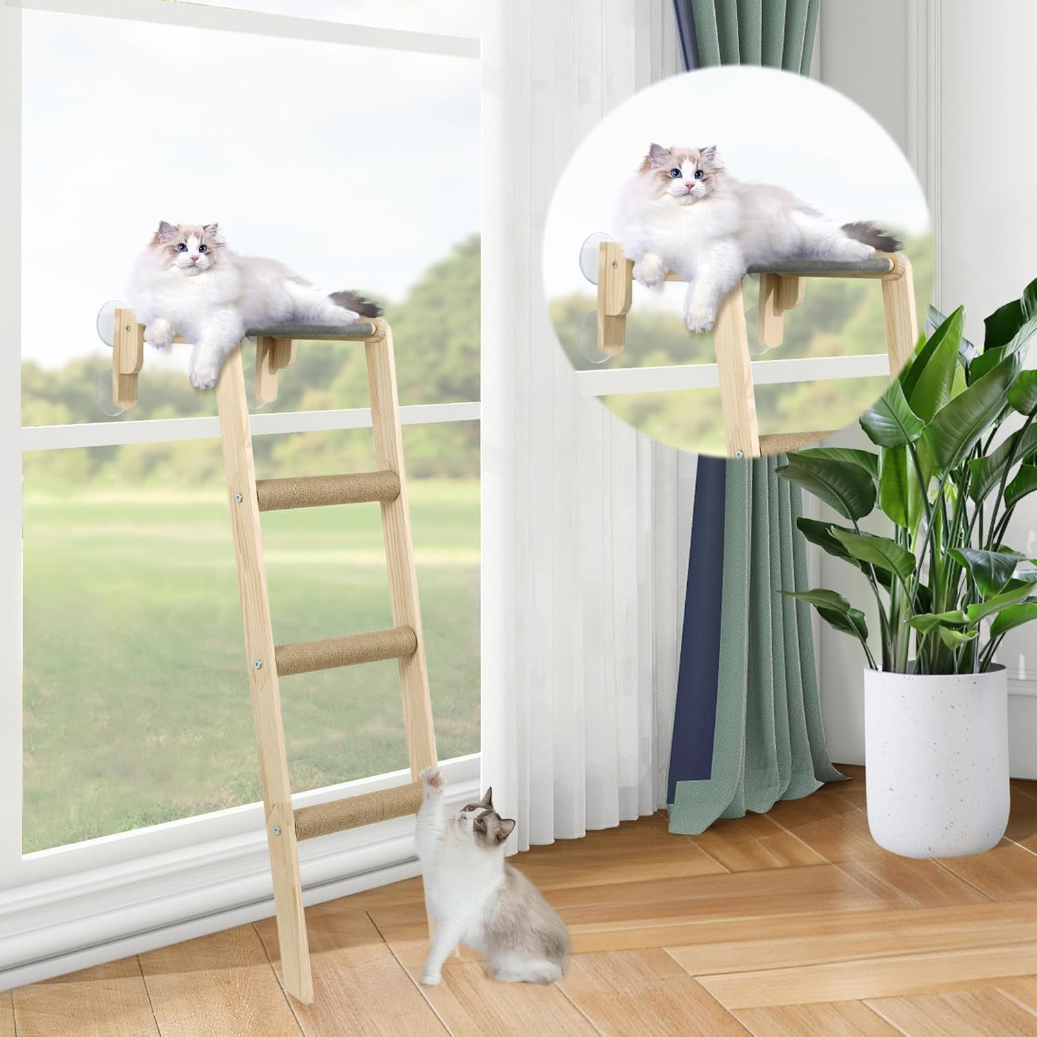 Cat Window Steps Meowoou (2-Pack) - Suction Cup Climbing Stairs With ...