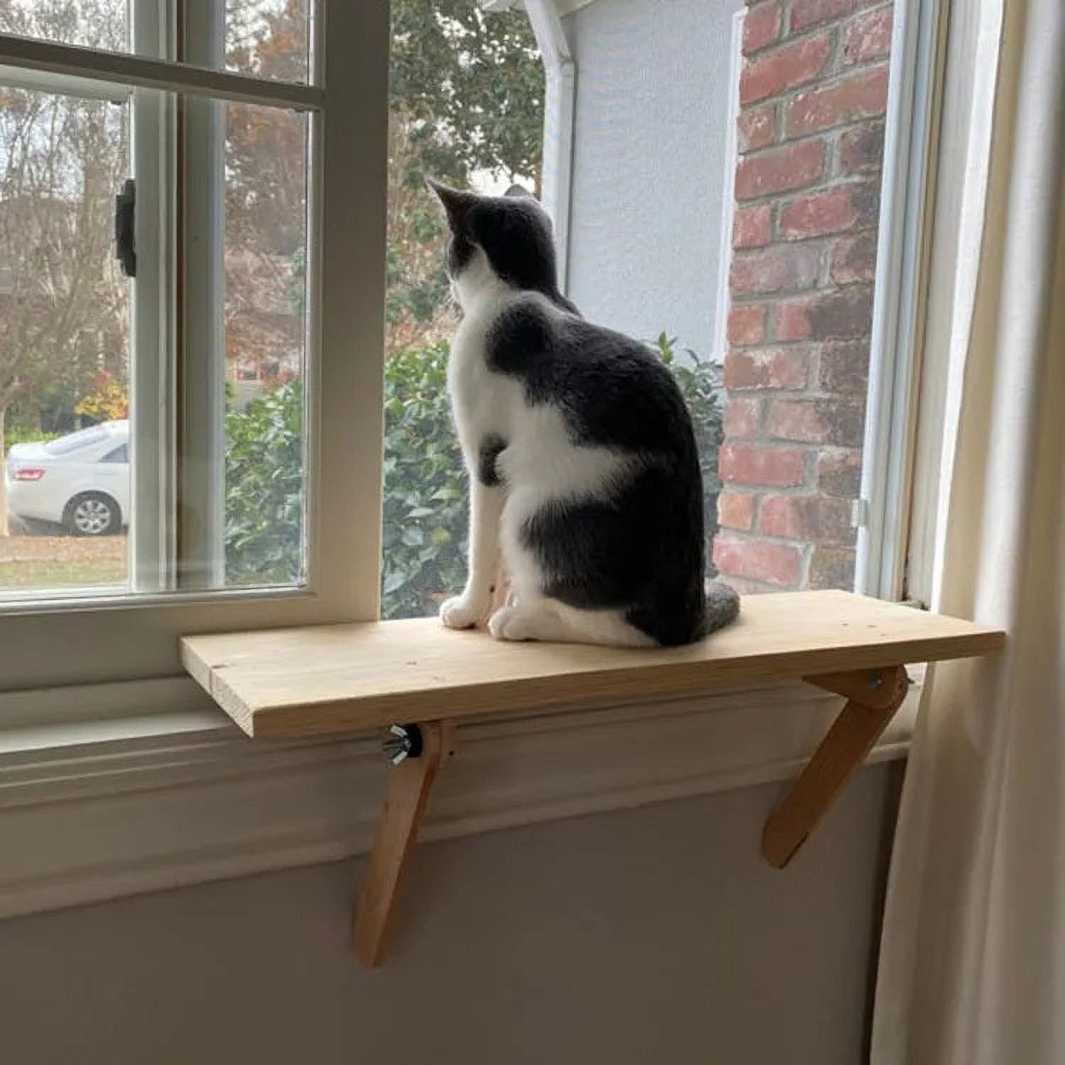 Cat Window Perch and Catio Entry/Exit Interior Shelf