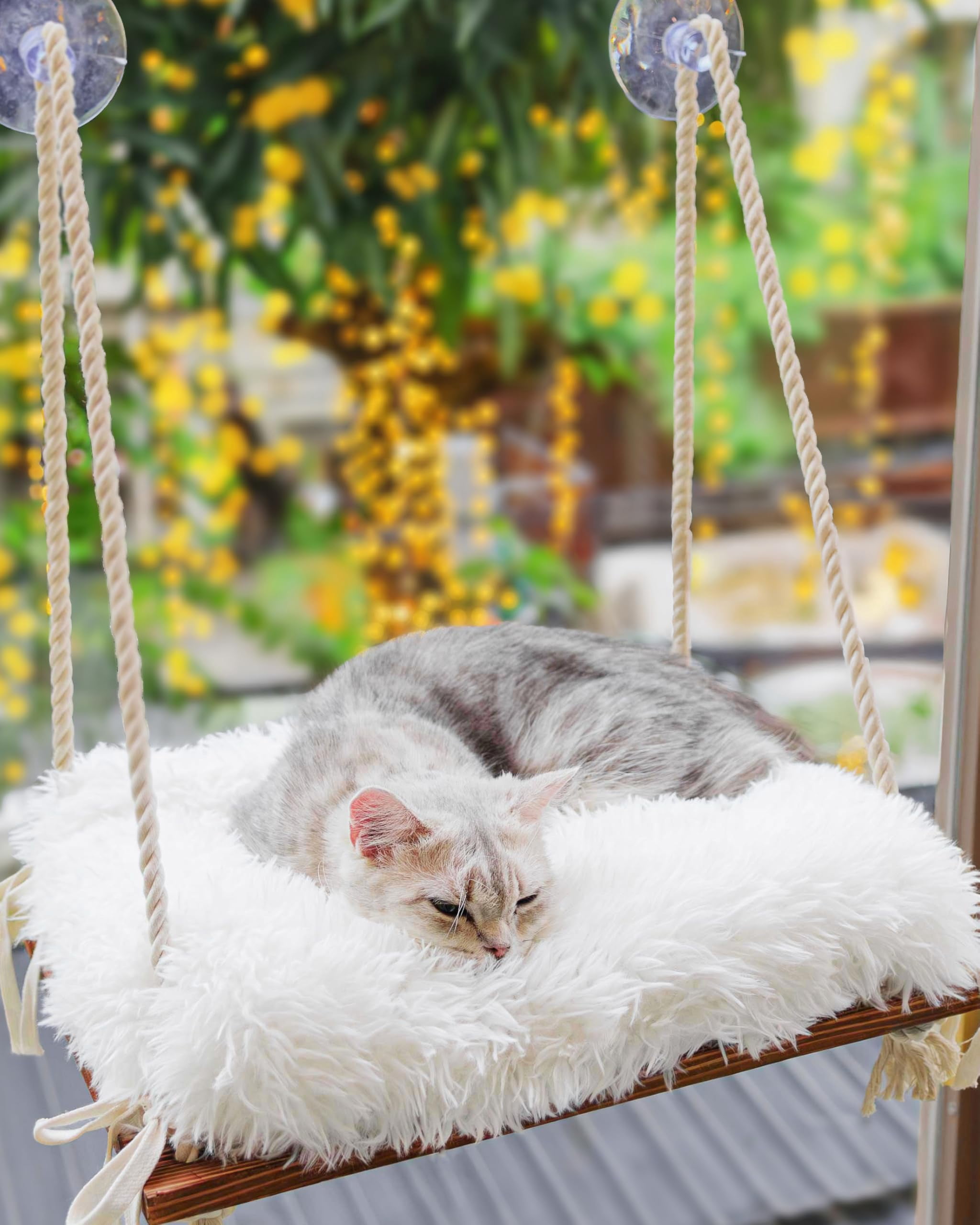 Cat Window Perch with Industrial-Grade Suction Cups - Solid Pine Wood Hammock Bed, Soft Cushion - 42 lb Capacity for Cats Inside
