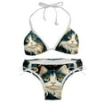 thumbnail image 1 of Cat Women's One-Piece Swimsuit Bikini Set with Detachable Sponge and Adjustable Strap, Two-Pack, for Swimming Scenes, 1 of 6