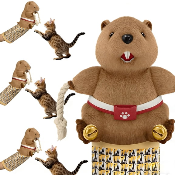 Cat Wrestling Glove, Cats Puppet Wrestler with Tough Padding for Safe Interactive Play, Cat Wrestling Toy Puppet with Cats Teaser and Bell for Boredom Busting Training and Exercise