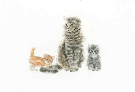 Cat and Kittens Canvas Art - Emily Adams (20 x 28)