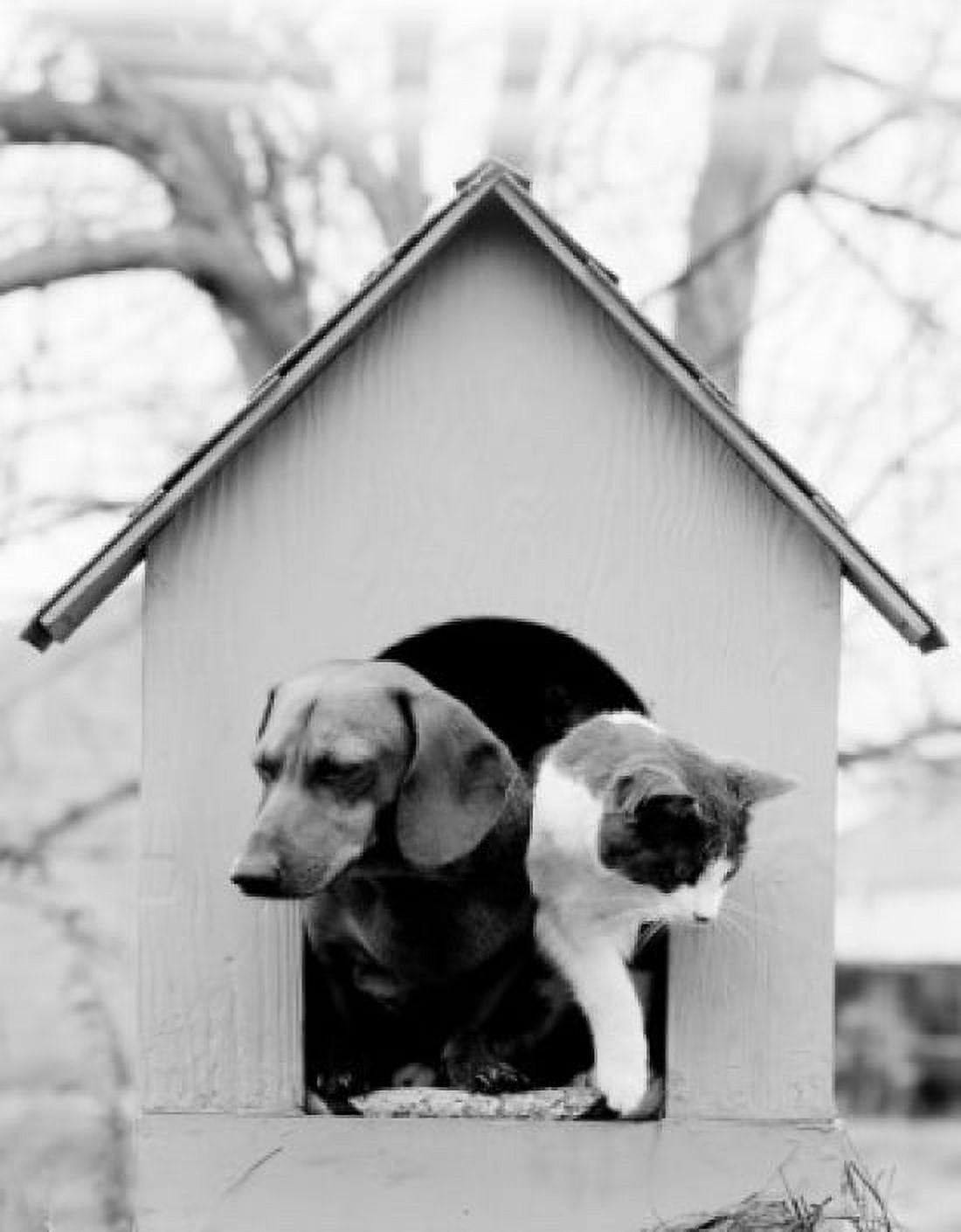 Cat and dog in doghouse Canvas Art - (18 x 24)