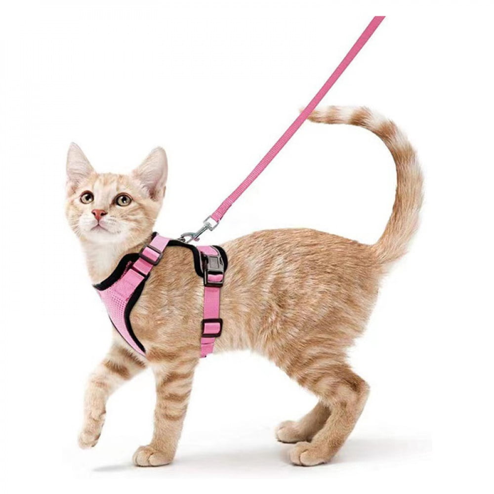 Cat and small dog harness traction rope for walking, anti escape soft adjustable vest harness, easy to control breathable jacket