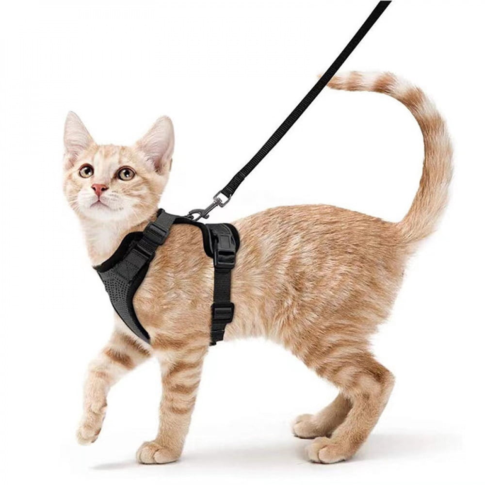 Cat and small dog harness traction rope for walking, anti escape soft adjustable vest harness, easy to control breathable jacket