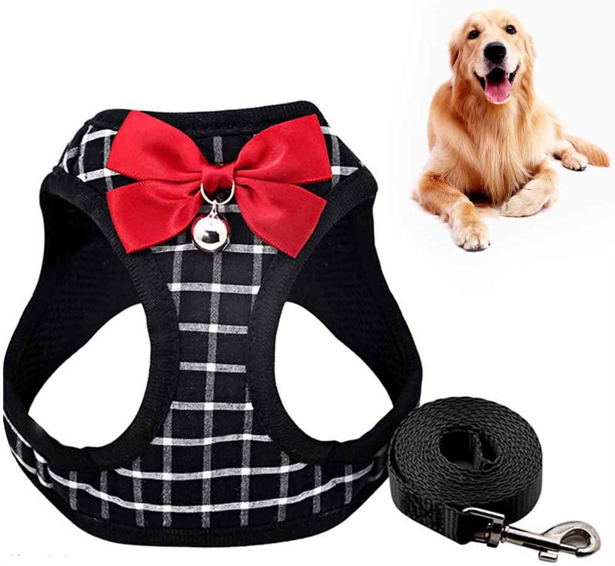 Cat chest carrier and kitten carrier, cat leash, cat carrier for small