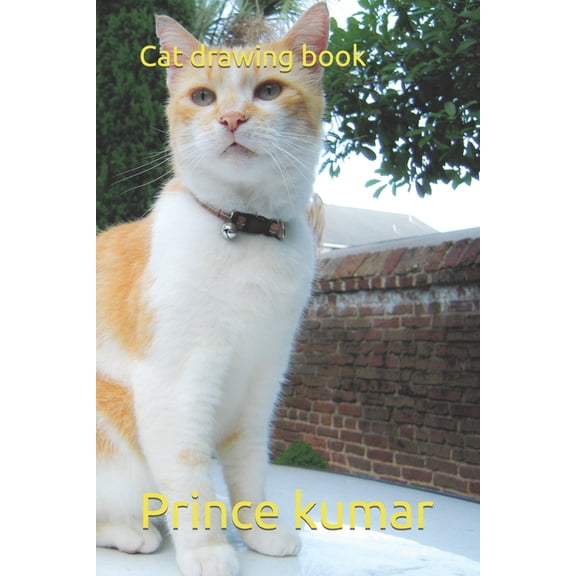 Cat drawing book (Paperback)