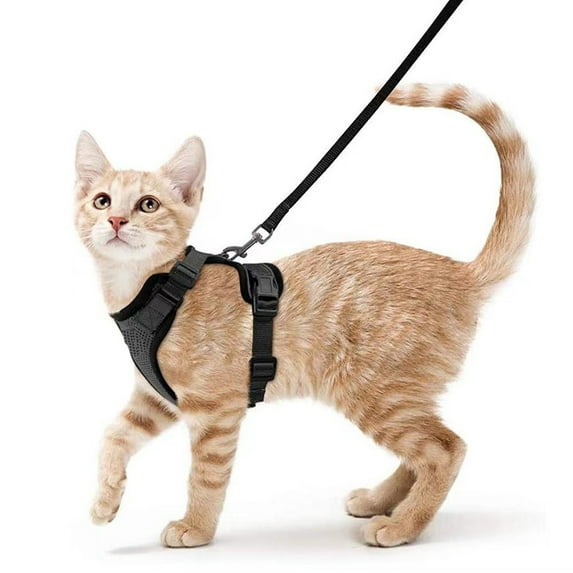 Cat harness, cat leash with cat harness, adjustable cat harness with lead, escape prevention, reflective harness set for small to medium cats/S/Black